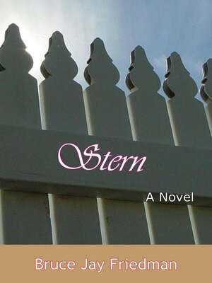cover image of Stern